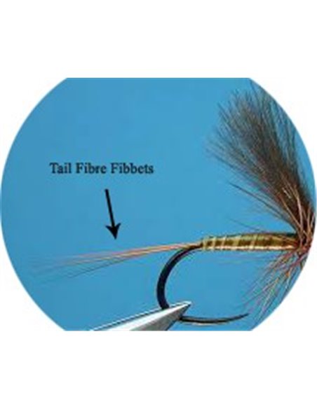 Tail Fibre Fibbets - Golden Olive